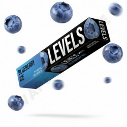 LEVELS 900 Blueberry Ice (Черника со льдом)