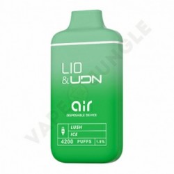 iJOY LIO&UDN Air 4200 Lush Ice (Арбуз Лёд)