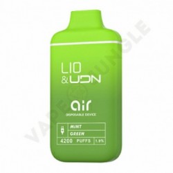 iJOY LIO&UDN Air 4200 Mint Green (Мята)