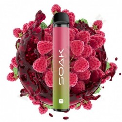 SOAK X 1500 Raspberry Soda (Малиновая газировка)
